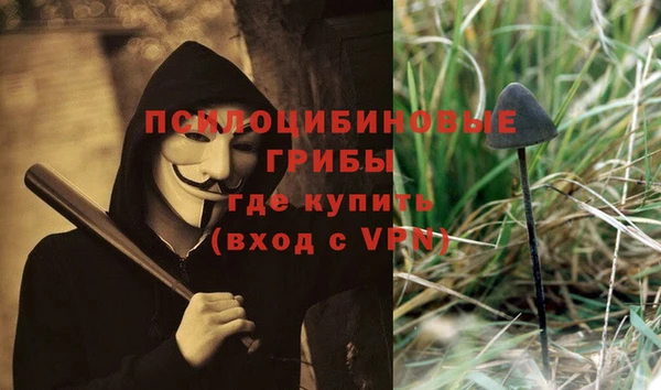 PSILOCYBIN Арсеньев