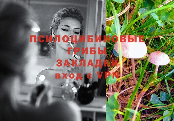 PSILOCYBIN Арсеньев