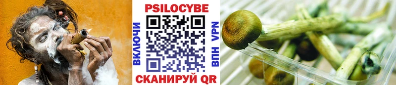 Галлюциногенные грибы MAGIC MUSHROOMS  мориарти формула  Курган 